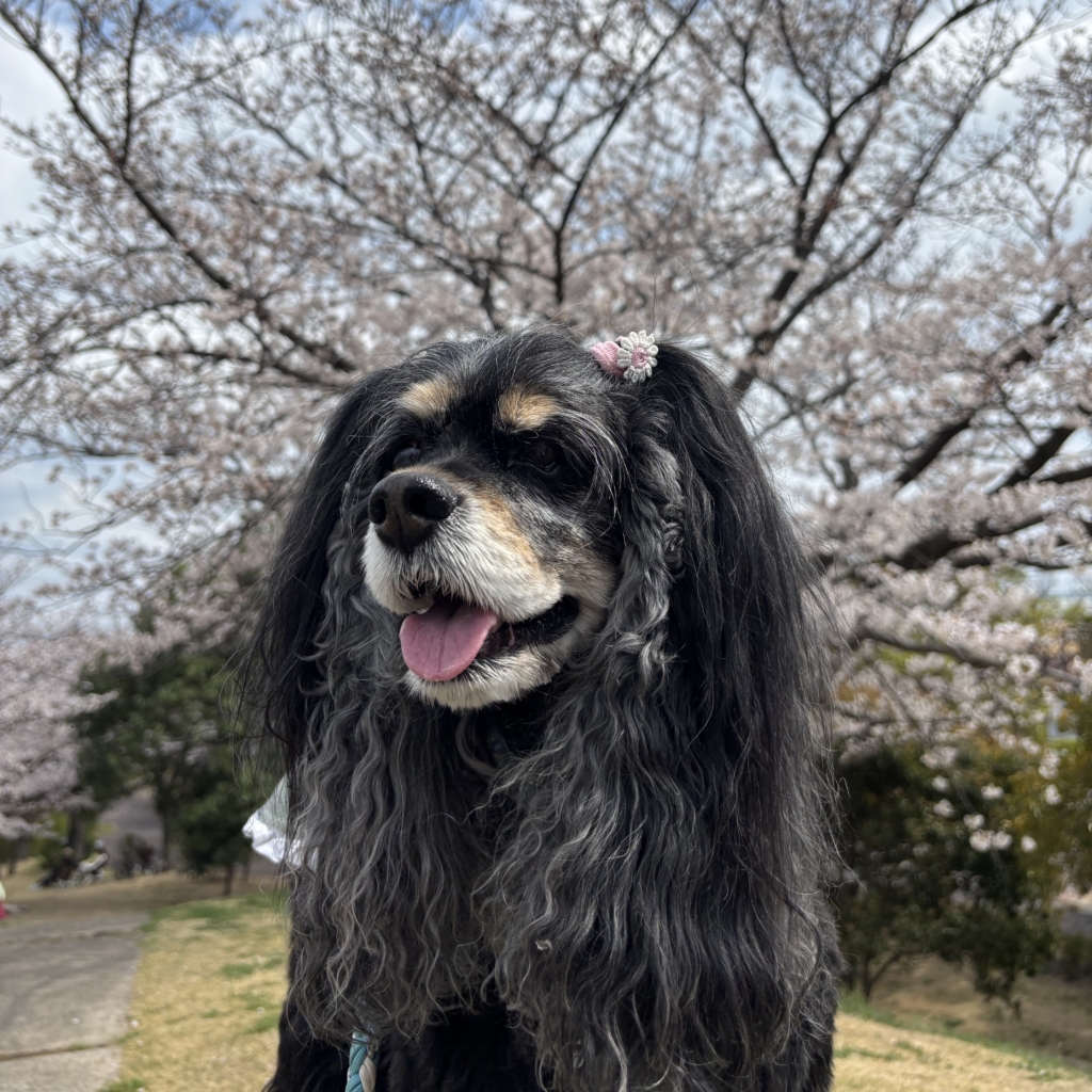 KAHUNAちゃん