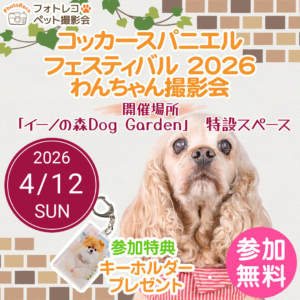 フォトレコペット撮影会