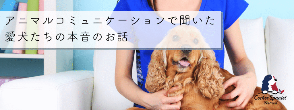 アニマルコミュニケーションで聞いた愛犬たちの本音のお話