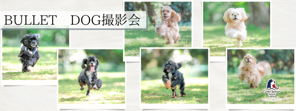 BULLET DOG撮影会