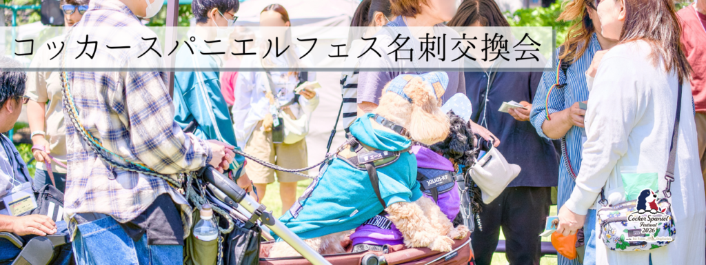 コッカースパニエルフェス名刺交換会