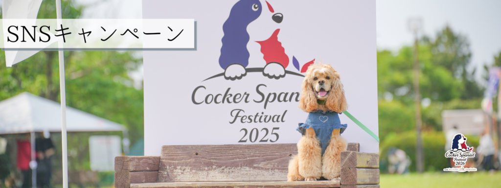 SNSキャンペーン