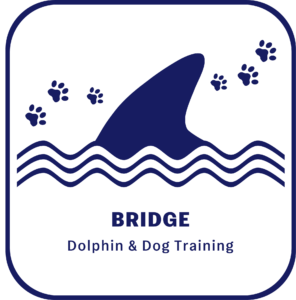 BRIDGE / Dolphin &Dog Training